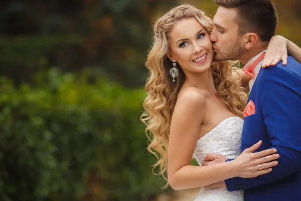 Lo sposo bacia la sposa in un parco verde in estate . — Foto Stock