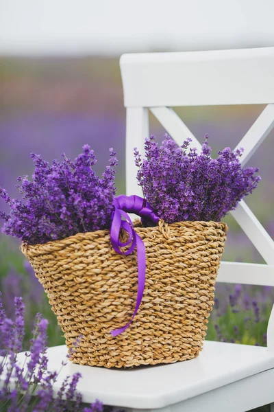 Lavande fleurie parfumée dans un panier sur un champ de lavande . — Photo