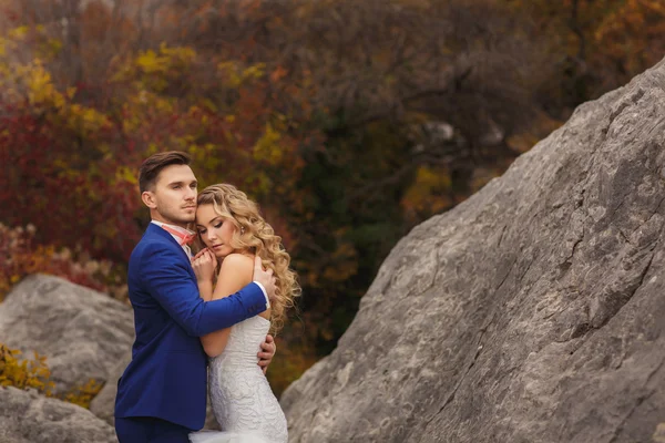 The bride and groom - the photograph in the Park. — Stock Photo, Image