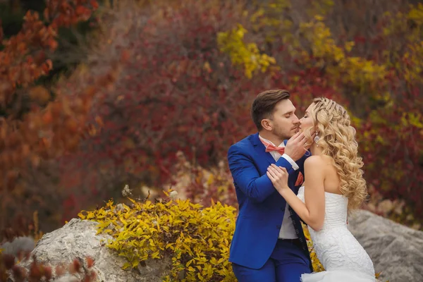 Lo sposo bacia la sposa in un parco verde in estate . — Foto Stock