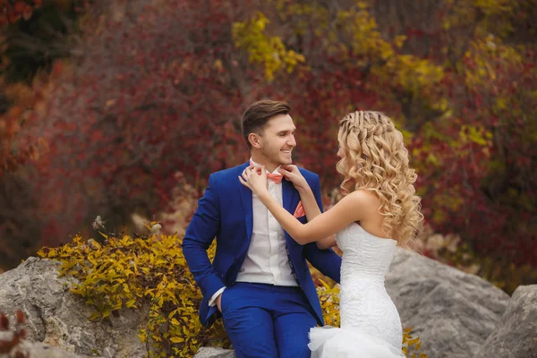 Gelin ve damat - fotoğraf Park. — Stok fotoğraf