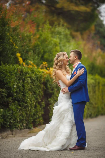 Los novios - la fotografía en el Parque . — Foto de Stock