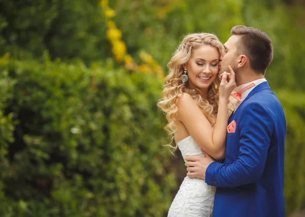 Ženich líbá nevěstu v zeleném parku v létě. — Stock fotografie