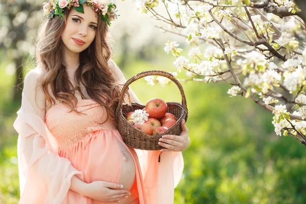 Mulher grávida no jardim da primavera com uma cesta de maçãs maduras . — Fotografia de Stock