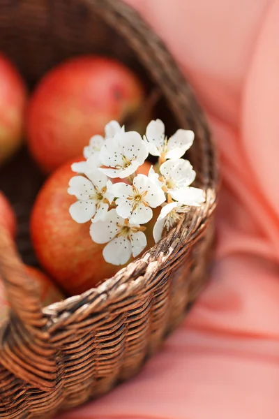 Röda äpplen i korgen på rosa bakgrund bakgrund — Stockfoto