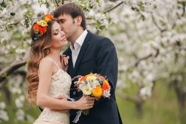 Le marié embrasse la mariée dans le parc fleuri au printemps . — Photo