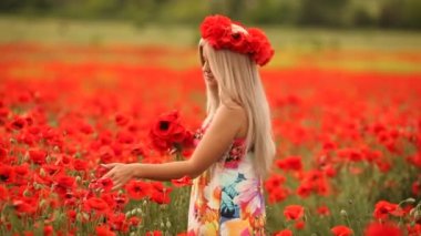 çiçekli alanındaki kırmızı poppies, genç güzel kadın.
