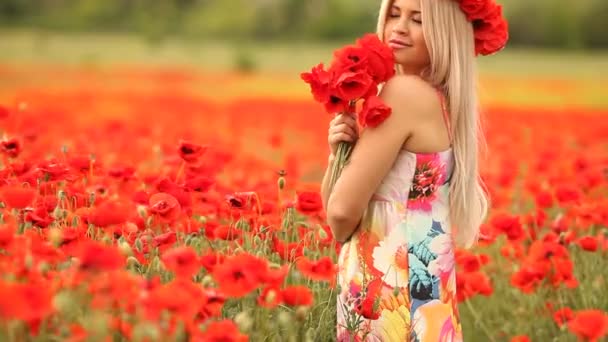 Joven hermosa mujer en un campo florido de amapolas rojas . — Vídeos de Stock