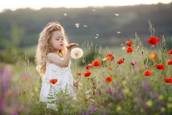 Ein kleines Mädchen mit Löwenzahn auf einer Sommerwiese — Stockfoto