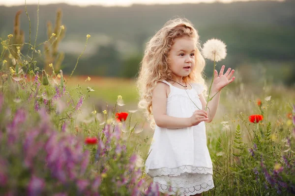 A little girl with a dandelion on a summer meadow — Stockfoto
