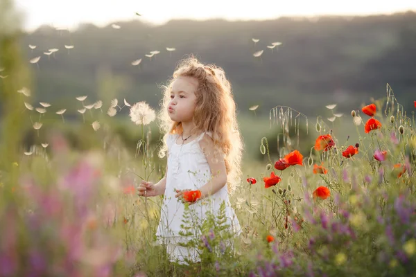 A little girl with a dandelion on a summer meadow — 스톡 사진