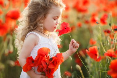 A little girl in a field of red poppies