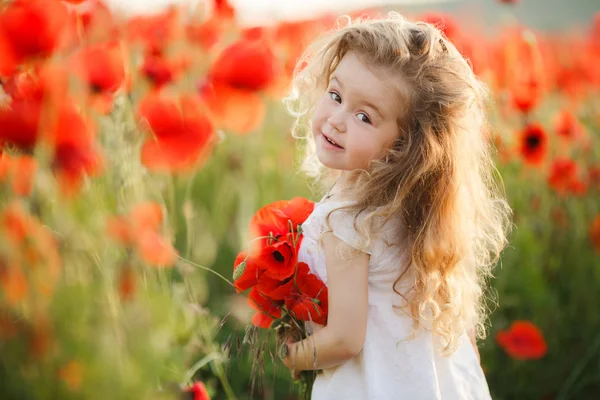 A little girl in a field of red poppies — Stock fotografie