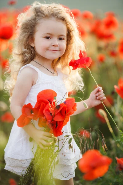 A little girl in a field of red poppies — Stock fotografie