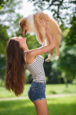 Bir küçük köpek yavrusu collie ile yeşil bir parkta oynayan genç güzel kadın