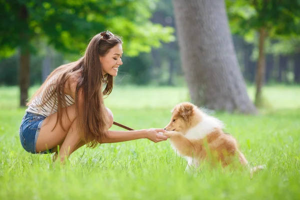 Jeune belle femme jouant dans un parc verdoyant avec un petit chiot collie — Photo