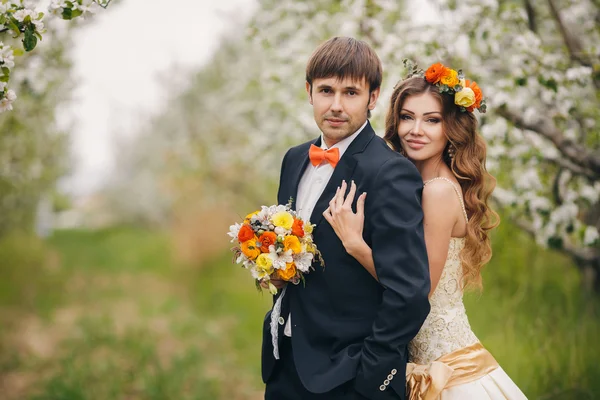 Hermosa novia en vestido de novia posando en un jardín de manzana en flor . — Foto de Stock