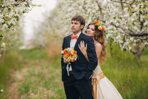 Gyönyörű menyasszony pózol egy virágzó Alma kert esküvői ruha. — Stock Fotó