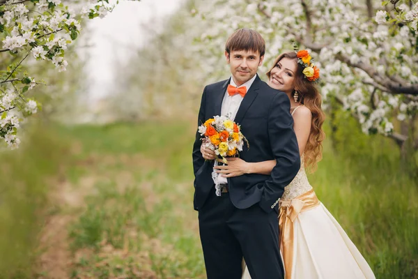 Красива наречена в весільній сукні позує в квітучому яблучному саду . — стокове фото
