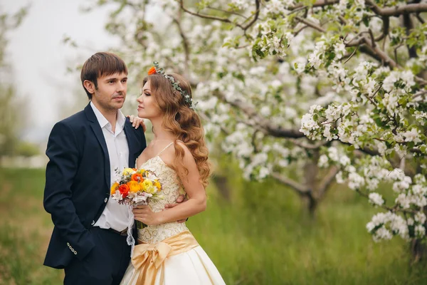 Hermosa novia en vestido de novia posando en un jardín de manzana en flor . —  Fotos de Stock