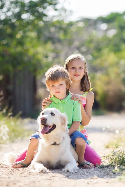 Девочка и мальчик с лабрадором ретривер в летнем парке — стоковое фото