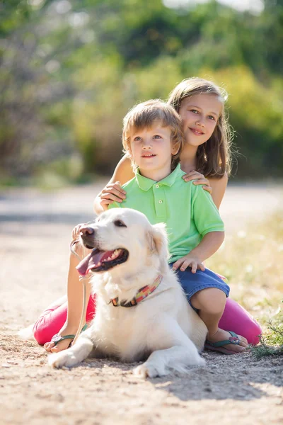 Девочка и мальчик с лабрадором ретривер в летнем парке — стоковое фото