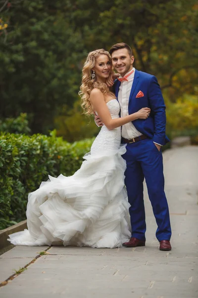 The bride and groom - the photograph in the Park. — Stock Photo, Image