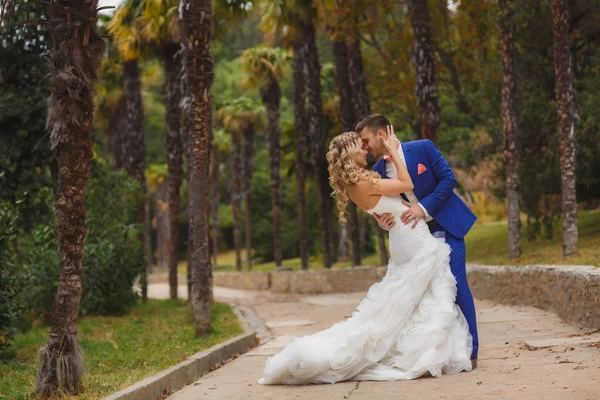 Hermosa pareja de boda, novia feliz y novio en la naturaleza . — Foto de Stock