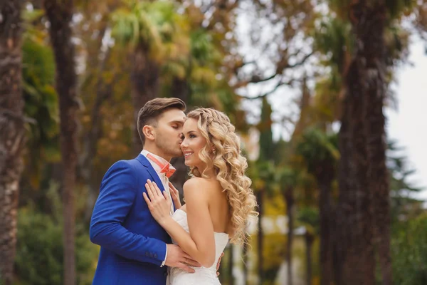 O noivo beija a noiva em um parque verde no verão . — Fotografia de Stock