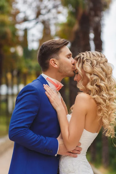 El novio besa a la novia en un parque verde en el verano . — Foto de Stock