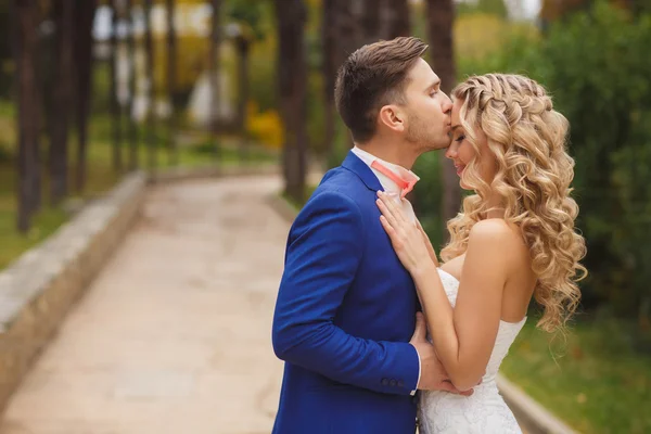 O noivo beija a noiva em um parque verde no verão . — Fotografia de Stock