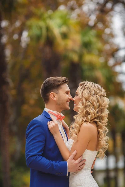 Hermosa pareja de boda, novia feliz y novio en la naturaleza . —  Fotos de Stock