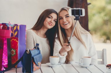 Selfie in a cafe two nice girlfriends.