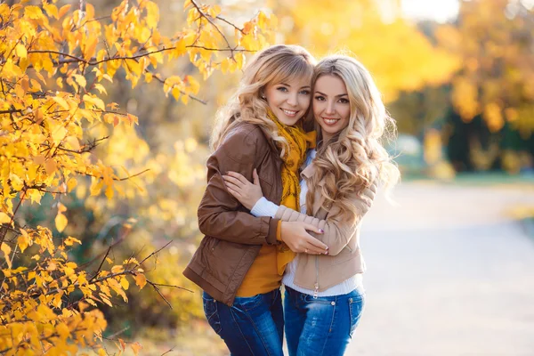 Two beautiful blonde in autumn park. — Stok fotoğraf