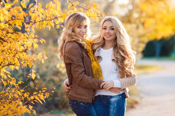 Two beautiful blonde in autumn park. — Zdjęcie stockowe