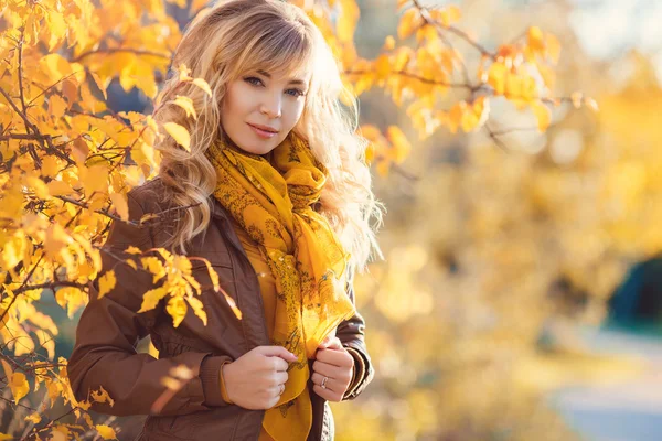 Mulher bonita no parque de outono. — Fotografia de Stock