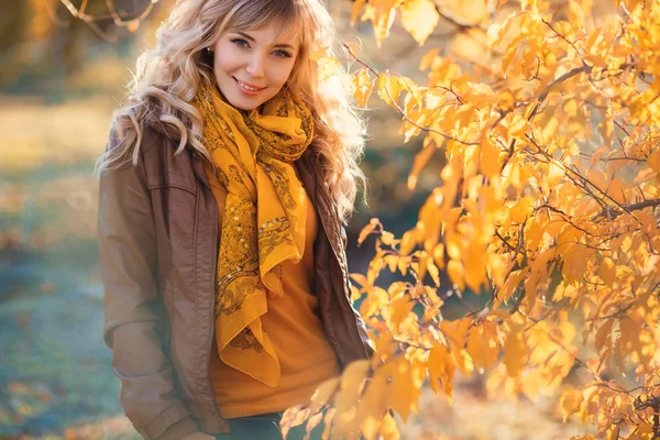 Piękna kobieta w jesiennym parku. — Zdjęcie stockowe