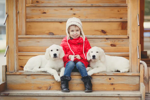 En liten flicka med två valp Golden Retriever. — Stockfoto