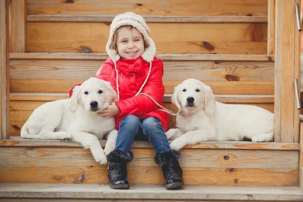 Küçük bir kız ile iki köpek yavrusu Golden Retriever. — Stok fotoğraf