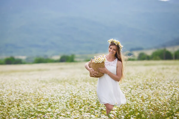 Mulher bonita em um campo de margaridas florescendo — Fotografia de Stock