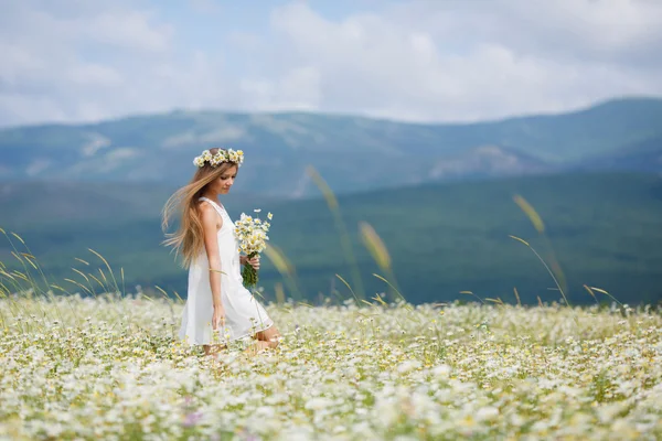 Mulher bonita em um campo de margaridas florescendo — Fotografia de Stock