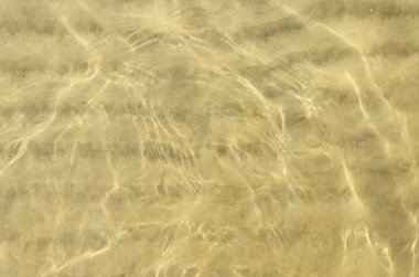 Temiz okyanus yakın atış