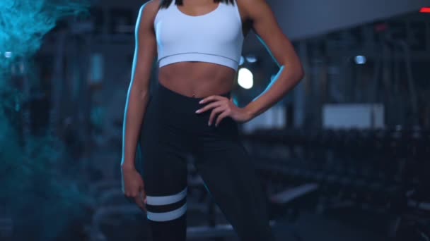Tělocvična a fitness koncept. Svalnaté mladé sportovní žena cvičení s činky ve fitness sportovním klubu.