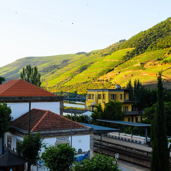 Folyó Douro valley, Portugália — Stock Fotó