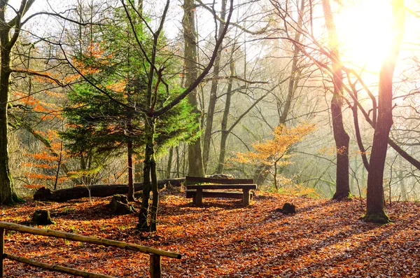 Puesta de sol en el parque de otoño — Foto de Stock
