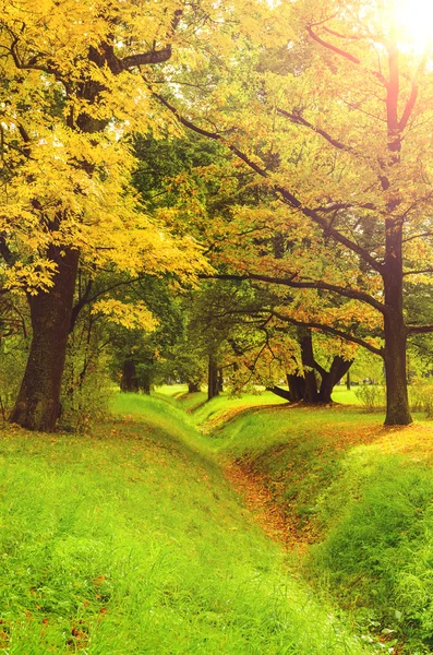 Colorido parque de otoño — Foto de Stock