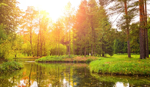 Kleurrijke herfst park — Stockfoto