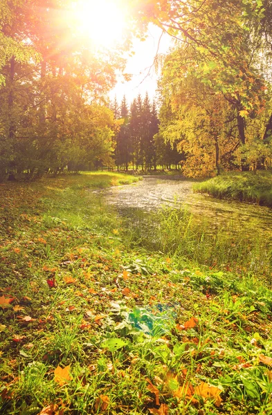 Farbenfroher Herbstpark — Stockfoto