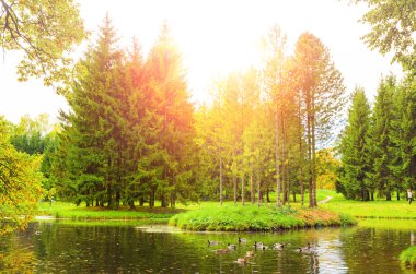 renkli sonbahar park