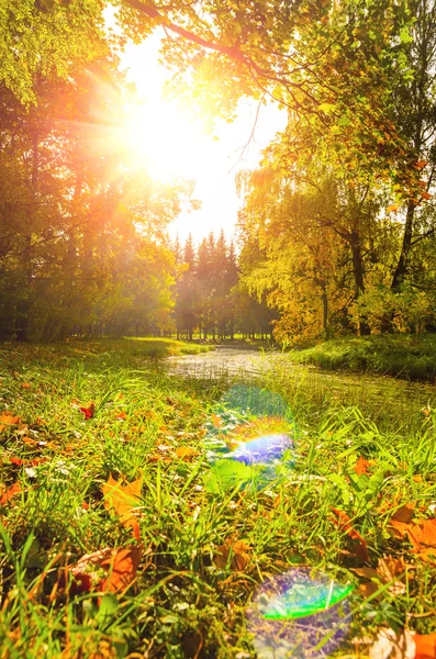 Kolorowy park jesień — Zdjęcie stockowe